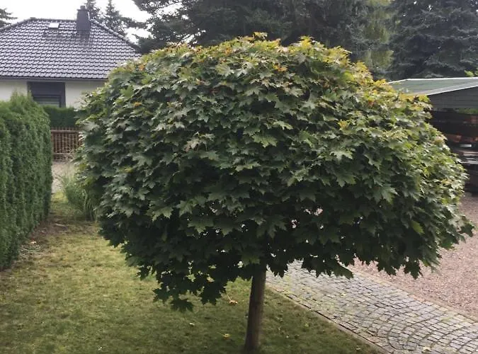 Ferienwohnung Chemnitz-rabenstein